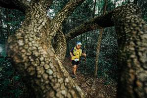 BIB: 
                            <button type="button" onclick="openModal(25393712)" class="btn btn-primary btn-sm float-right btn-popup" data-toggle="modal" data-target=".modal-high-quality">
                        <i class="fas fa-shopping-cart"></i> Add to Cart
                    </button>
                                            <button type="button" onclick="isThisMe(25393712, true)" class="btn btn-success btn-sm float-right btn-popup btn-isme hidden" data-toggle="tooltip" data-placement="bottom" title="นี่คือรูปของคุณใช่ไหม คลิกที่นี่เพื่อเอาเข้าอัลบั้ม">
                        <i class="fas fa-plus"></i> Add to album
                    </button>
                    <button type="button" onclick="isThisMe(25393712, false)" class="btn btn-warning btn-sm float-right btn-popup btn-isnotme hidden">
                        <i class="fas fa-ban"></i> Remove from album
                    </button>